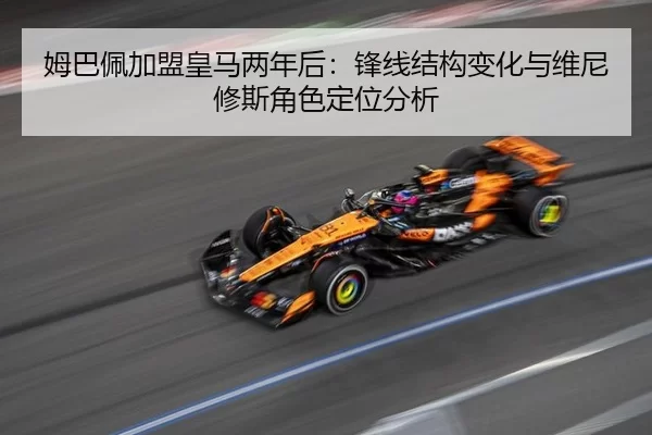 mu-ba-pei-jia-meng-huang-ma-liang-nian-hou-feng-xian-jie-gou-bian-hua-yu-wei-ni-xiu-si-jue-se-ding-wei-fen-xi-3-245.jpg